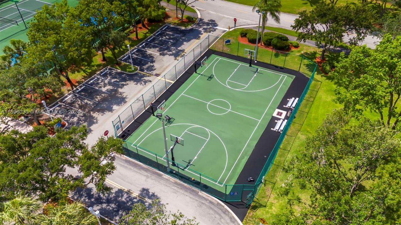 Basketball Court