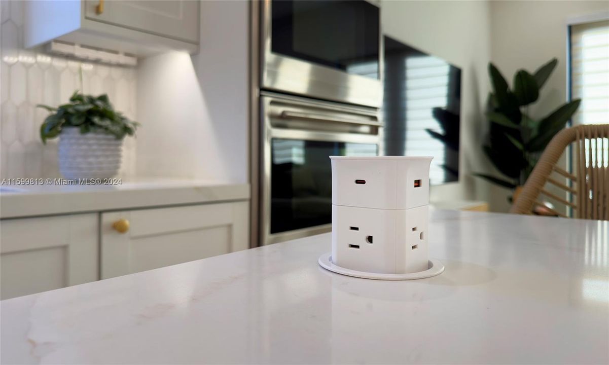 Kitchen Detail: This modern kitchen is equipped with every detail in mind, including a sleek pop-up outlet for all your culinary gadgets, making meal prep both efficient and enjoyable.