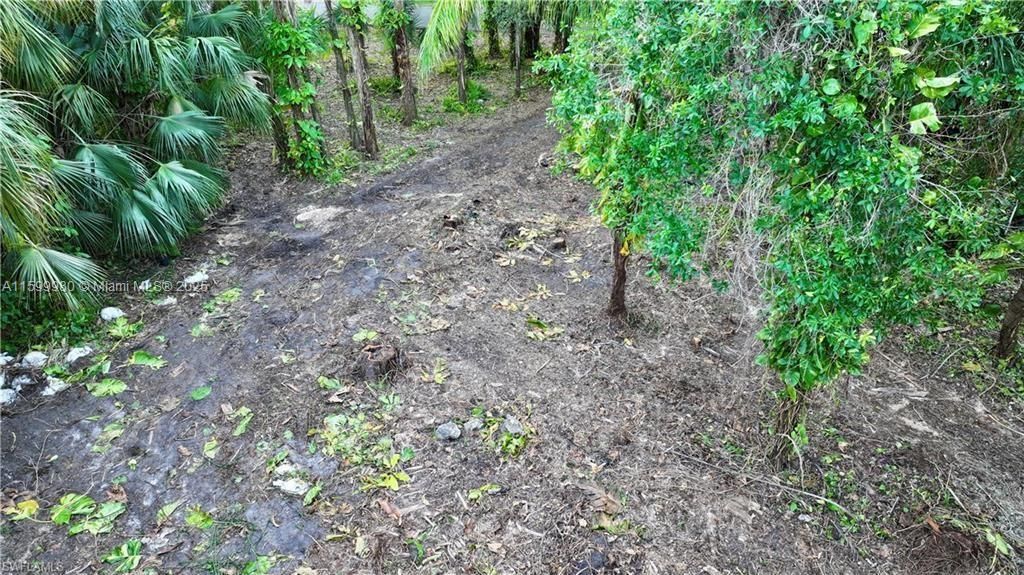 385 Caloosa Drive, LaBelle, FL 33935 - .38 acre home site