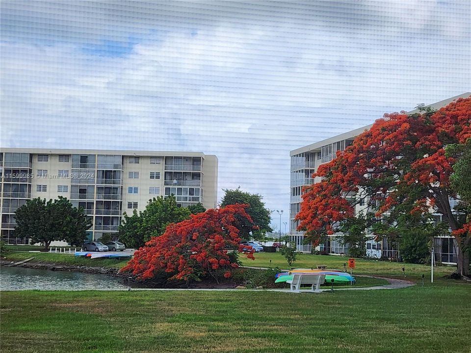 Point East in Bloom