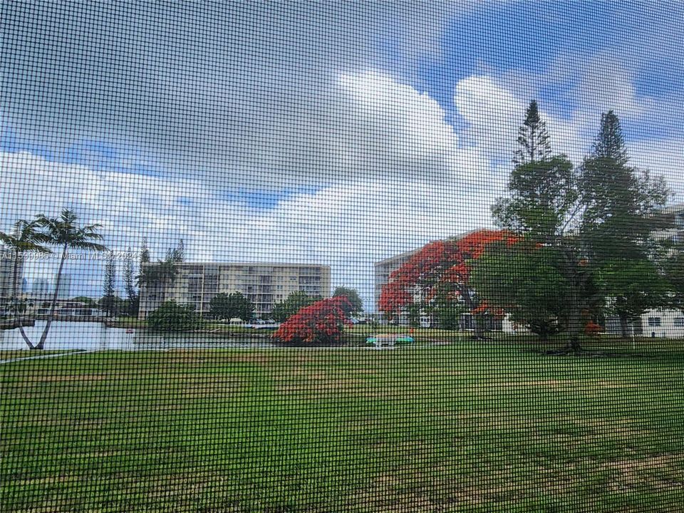 View of the lagoon