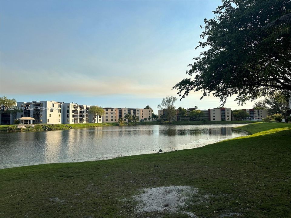 Active With Contract: $2,500 (2 beds, 2 baths, 1170 Square Feet)