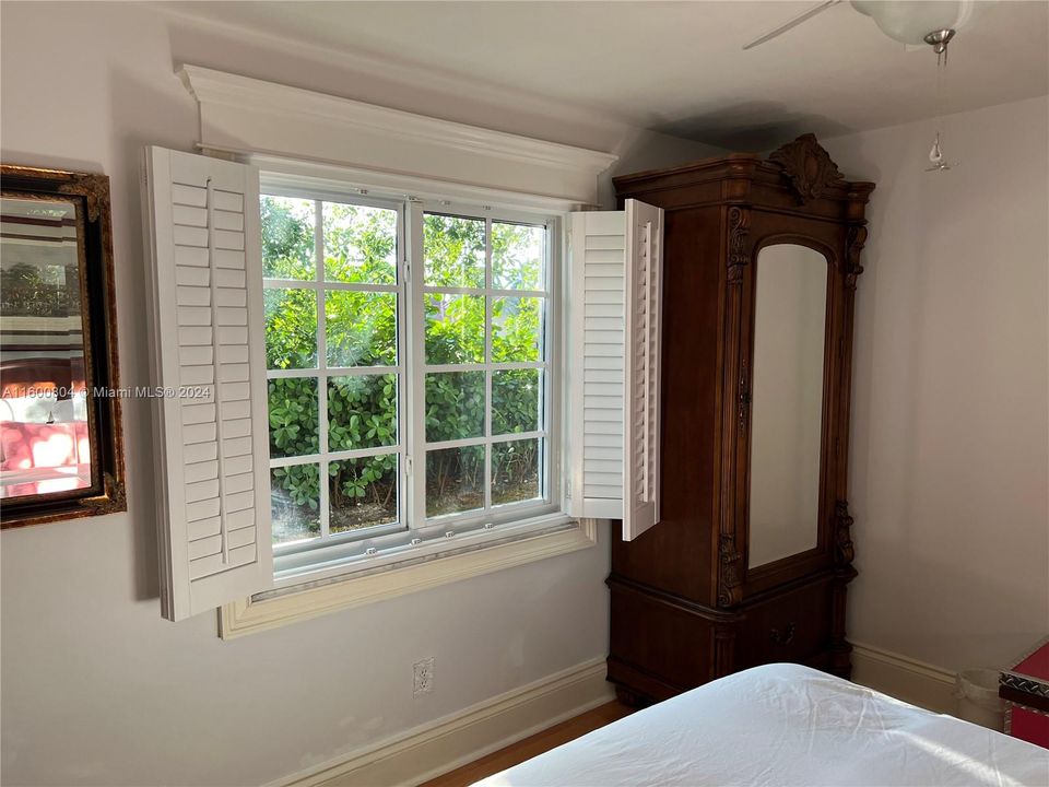 Open the Plantation shutters and look at the greenery