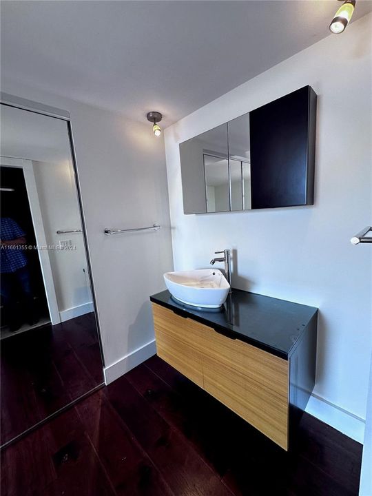 Primary Vanity area