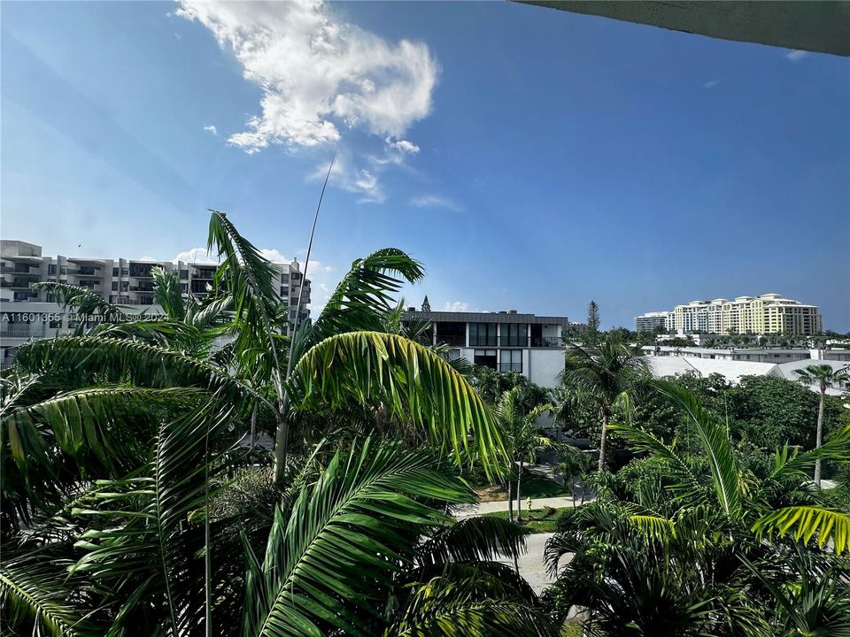 View from Primary Bedroom