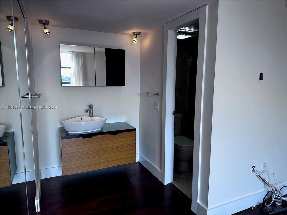 Primary Vanity area