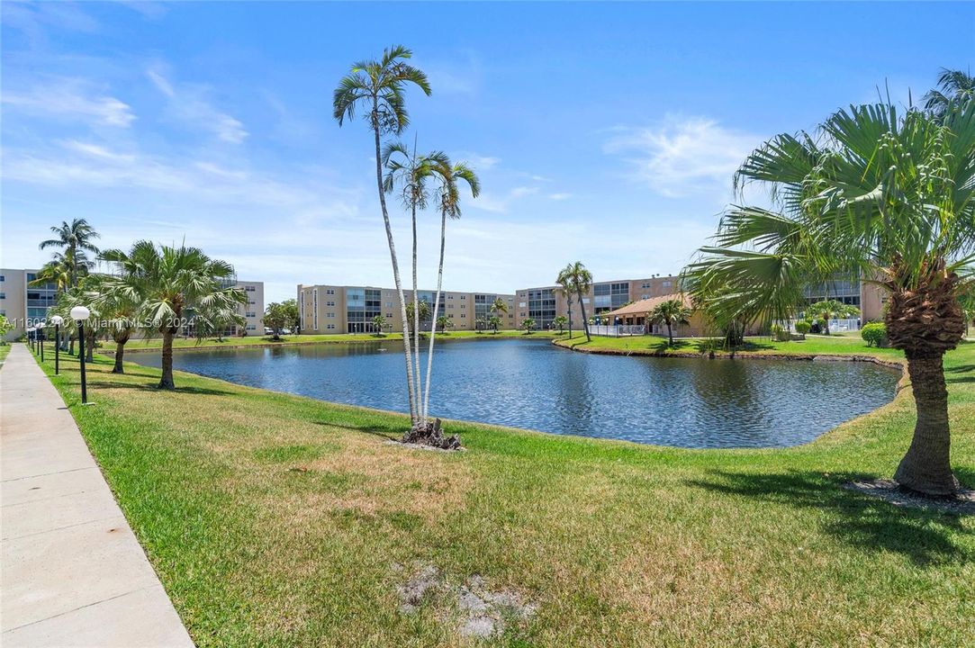 Lake view/walking path