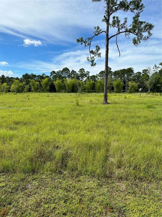 Недавно продано: $215,000 (4.73 acres)