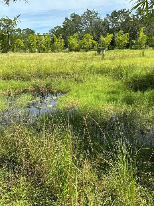 Недавно продано: $215,000 (4.73 acres)