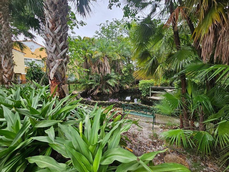 Another view of nature reserve, so peaceful,