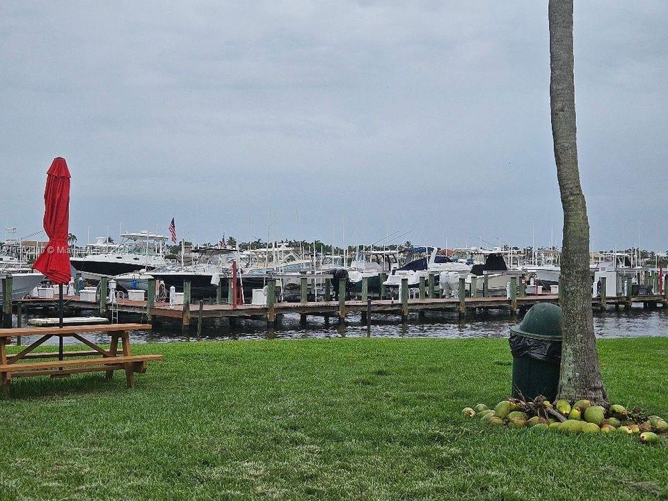 Marina, dock space avail separately