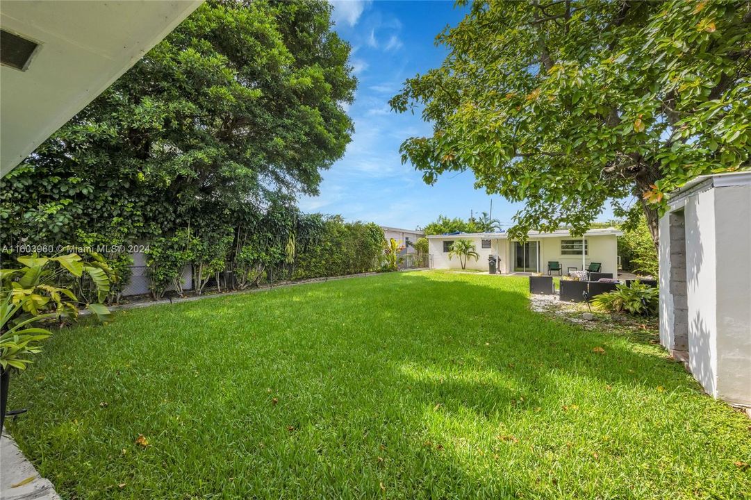 Backyard.  Room for a pool.  Large productive Avocado tree.  Small CBS storage shed.