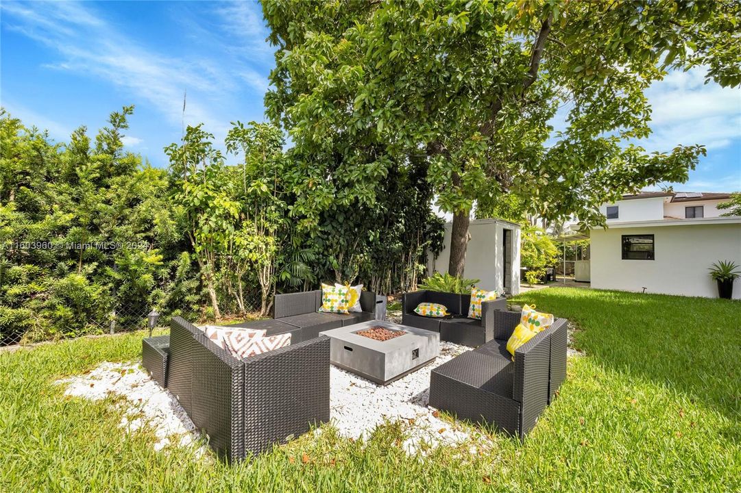 Outdoor lounge area with mature Avocado tree.