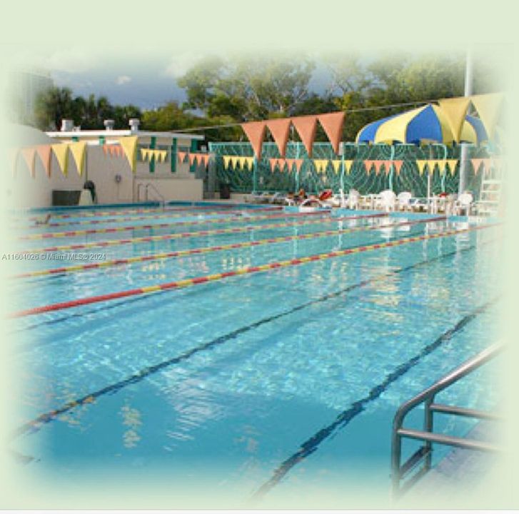 BEAUTIFUL POOL IN FLAMINGO PARK