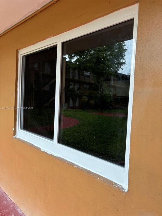 New Impact Windows