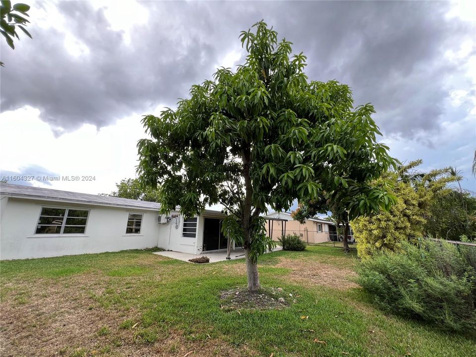 Back porch with air conditioner