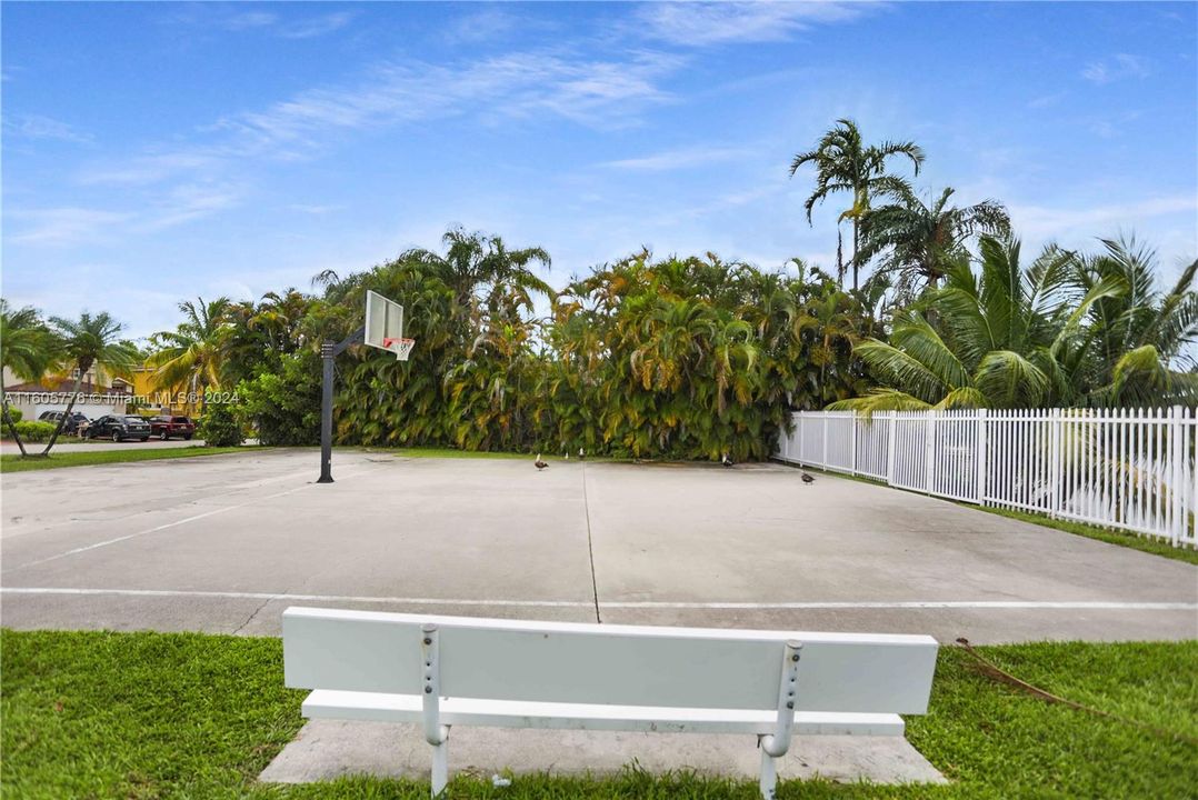 Basketball Court