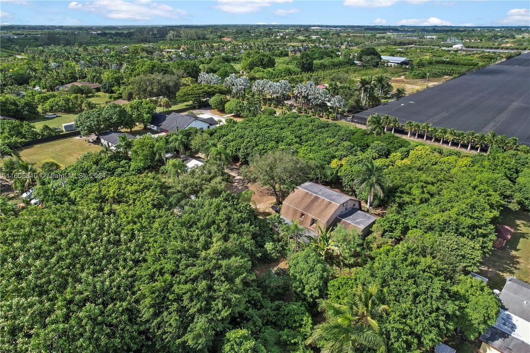 1+ ACRE 5/3.5 HOUSE SITTING ON A LYCHEE GROVE.THIS PROPERTY CARRIES AN AGRI ECEMPTION THE PROPERTY NEXT DOOR IS ALSO FOR SALE...SAME SELLER