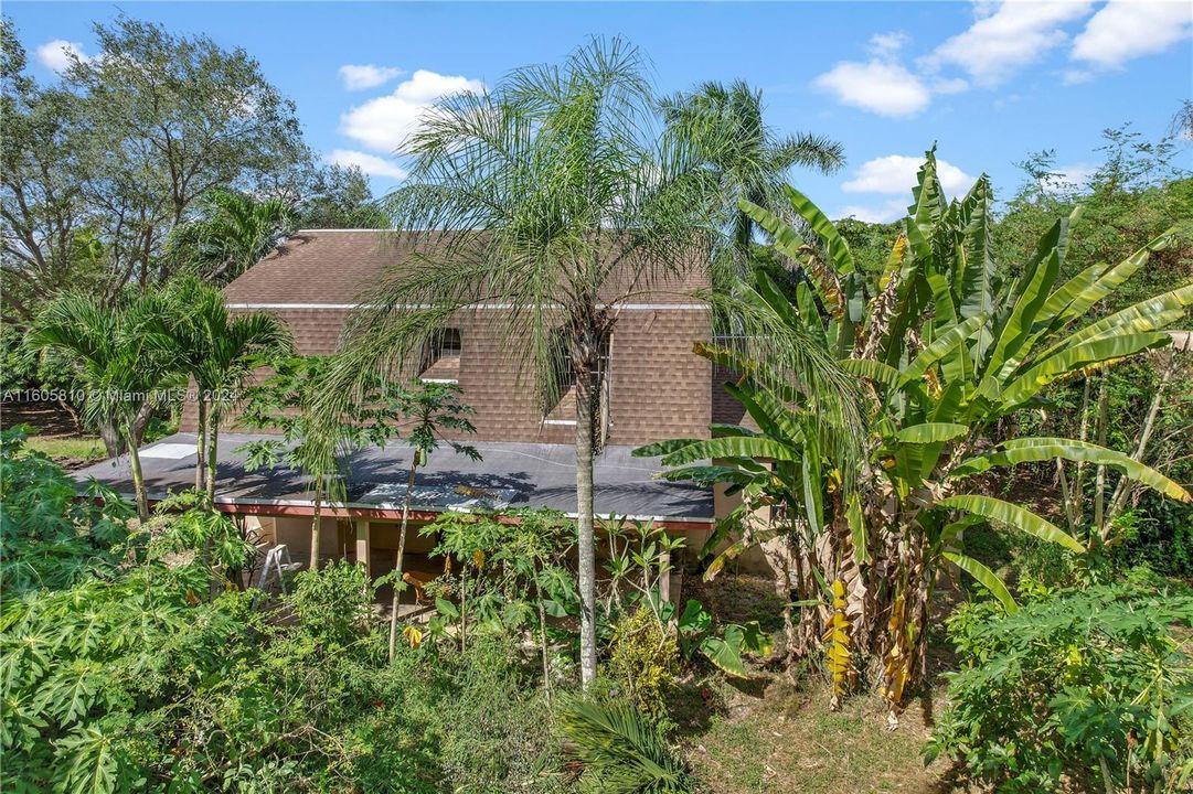 1+ ACRE 5/3.5 HOUSE SITTING ON A LYCHEE GROVE.