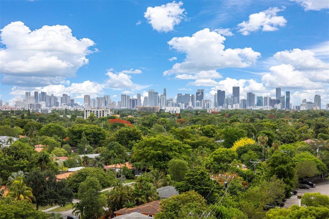 Downtown Miami Skyline