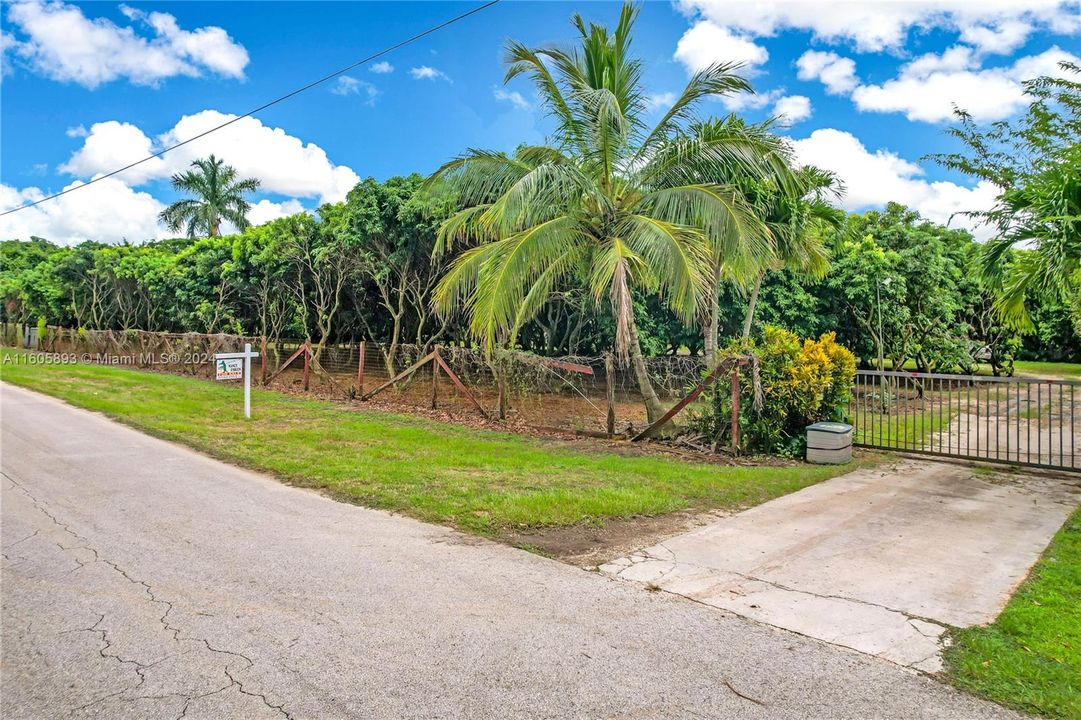 ENTRANCE TO THE 1 ACRE W/ ELECTRIC GATE.