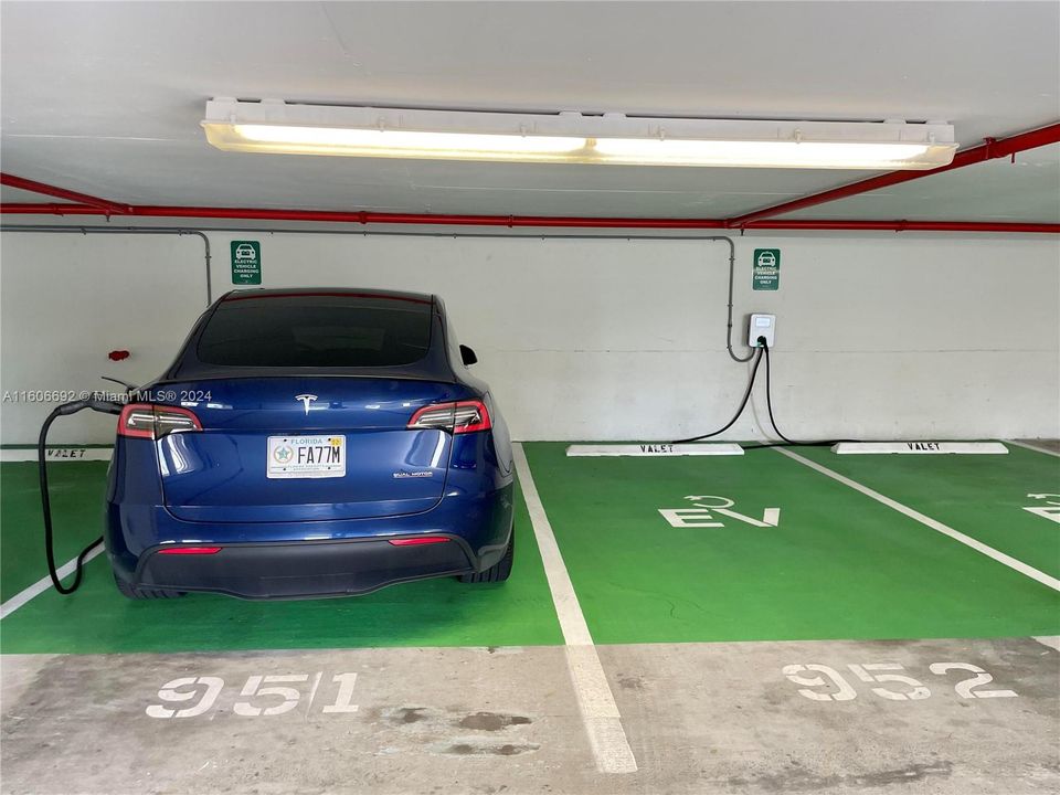 Electric Car Charging in Garage