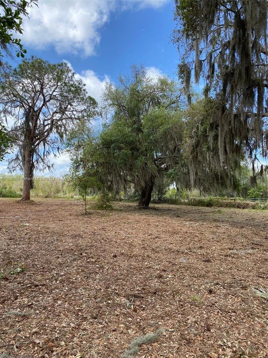 For Sale: $450,000 (5.22 acres)