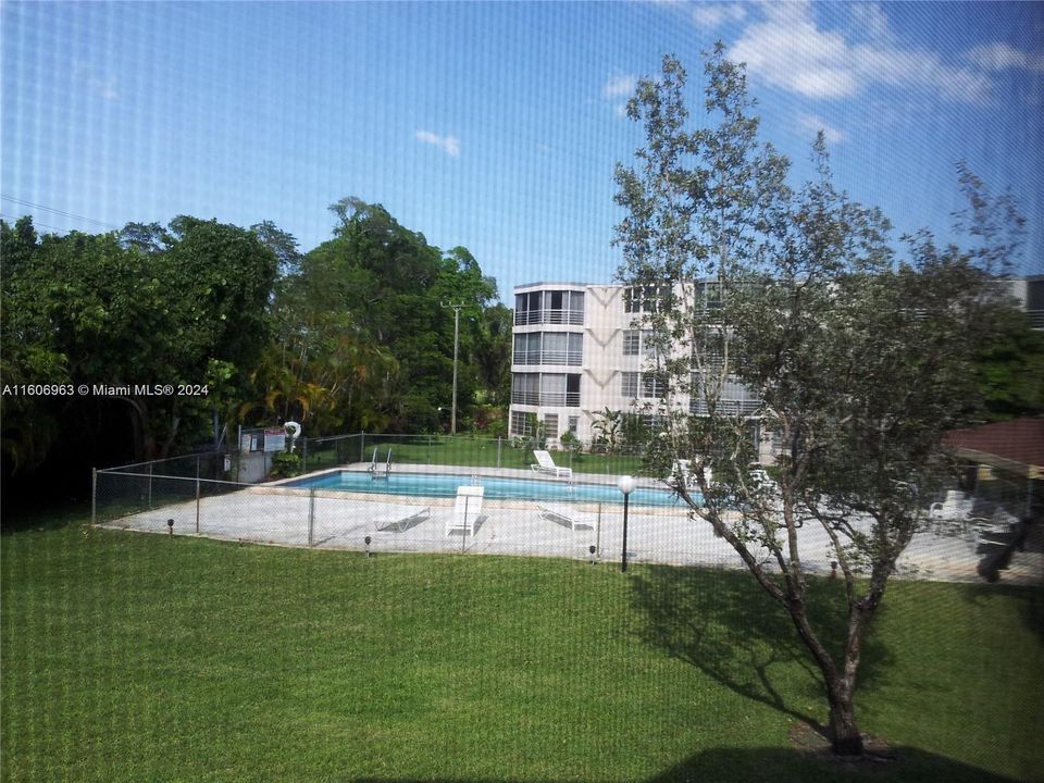 Pool area from screened in patio.