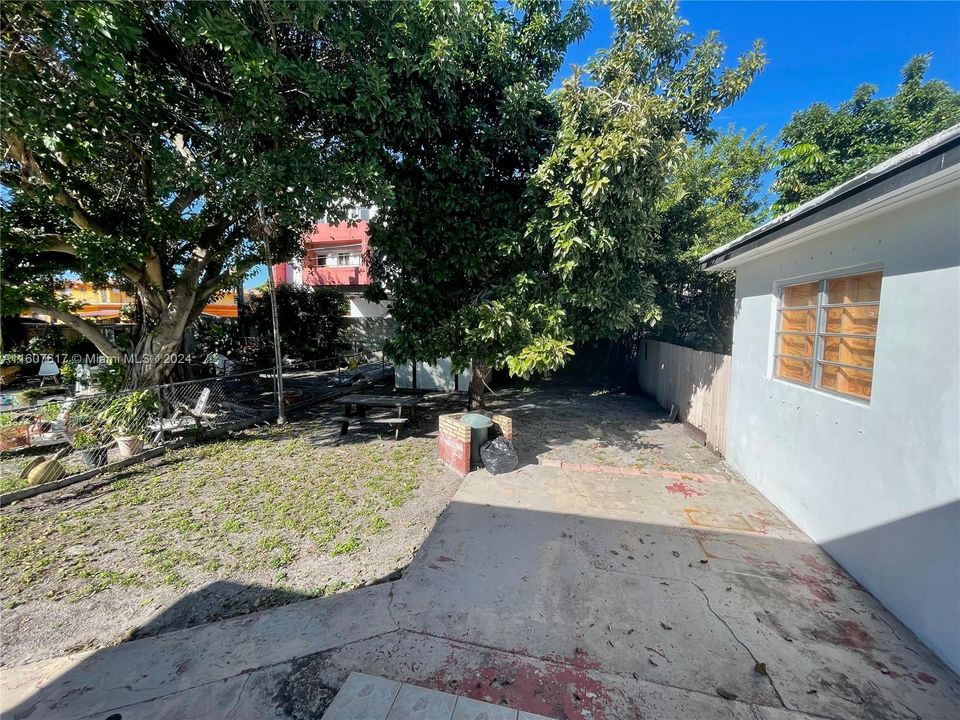 Back Yard with Avocado Tree