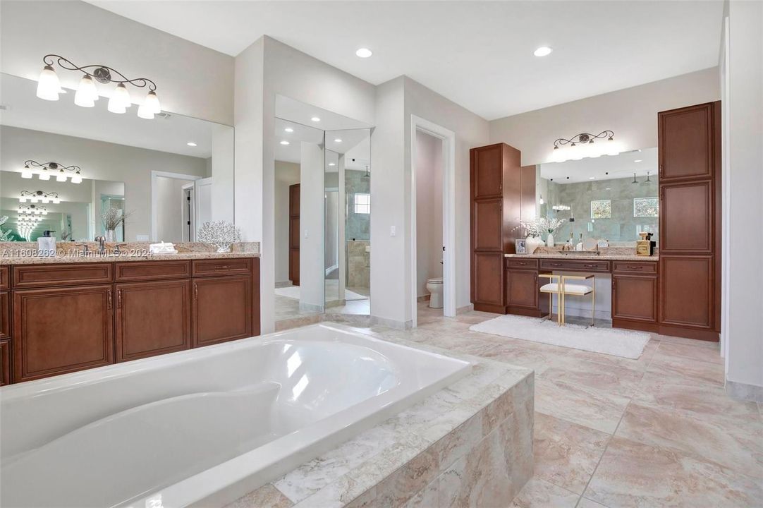 Gorgeous tub and walk in shower