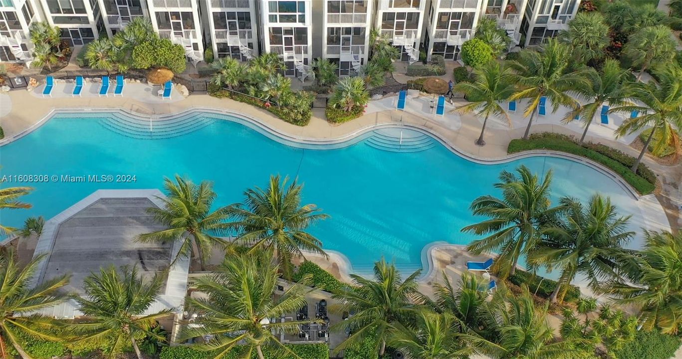 the Oasis Pool