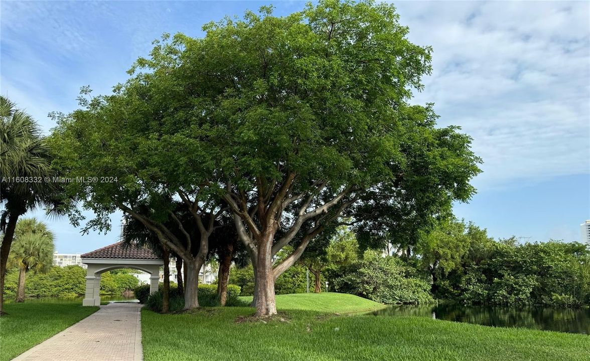 View at the Club House area