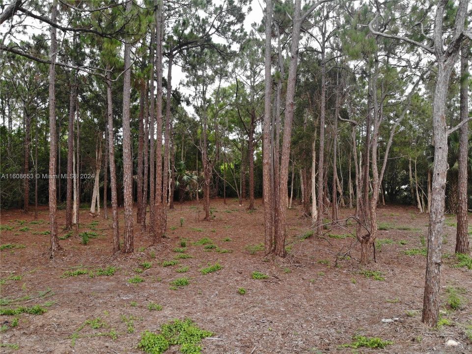 Vendido Recientemente: $324,900 (1.67 acres)