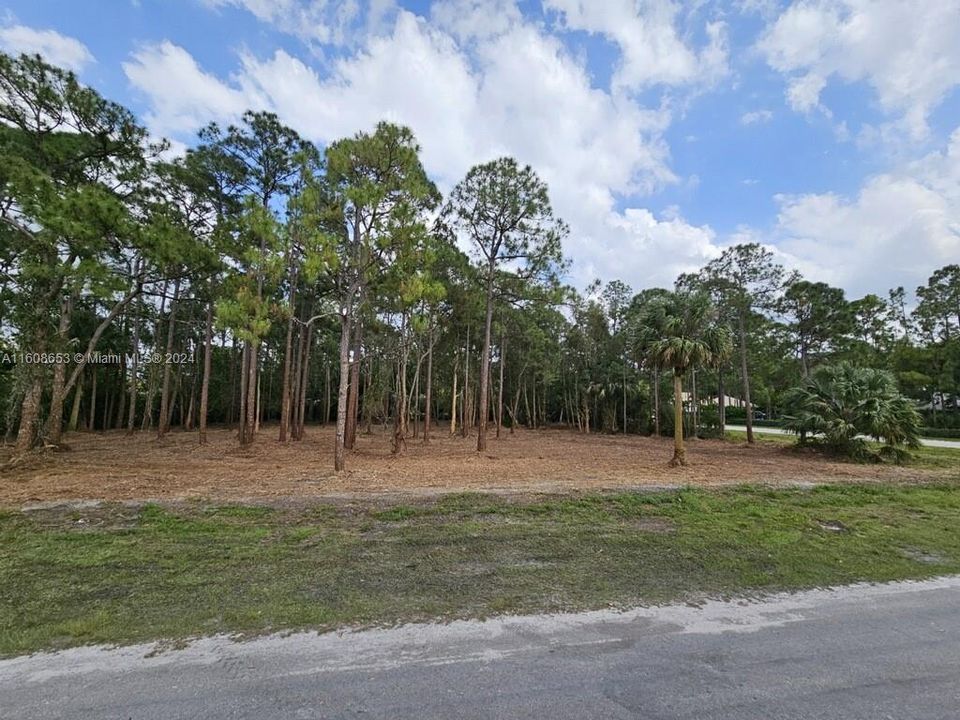 For Sale: $349,000 (1.67 acres)