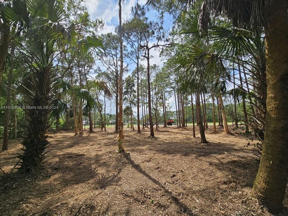 Vendido Recientemente: $324,900 (1.67 acres)