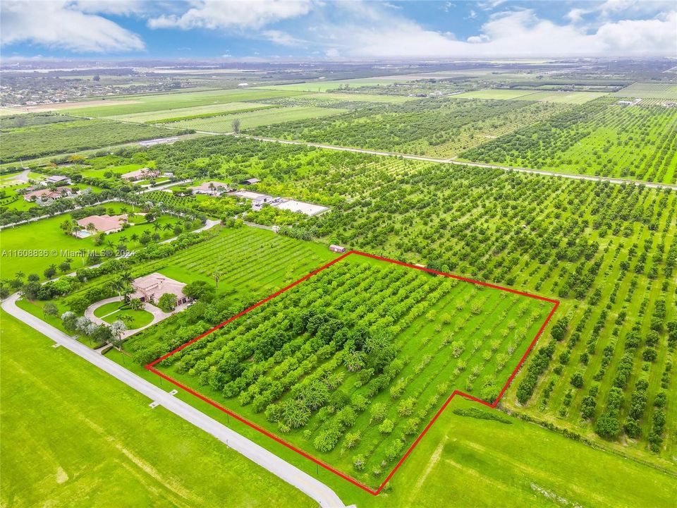 5+ ACRE BUILDABLE PROPERTY W/ GROVE IN SAVANNAH RANCHES GATED AGRICULTURAL COMMUNITY. GROVE INCLUDES ANON, MAMAY, SAPODILLO GROVE.