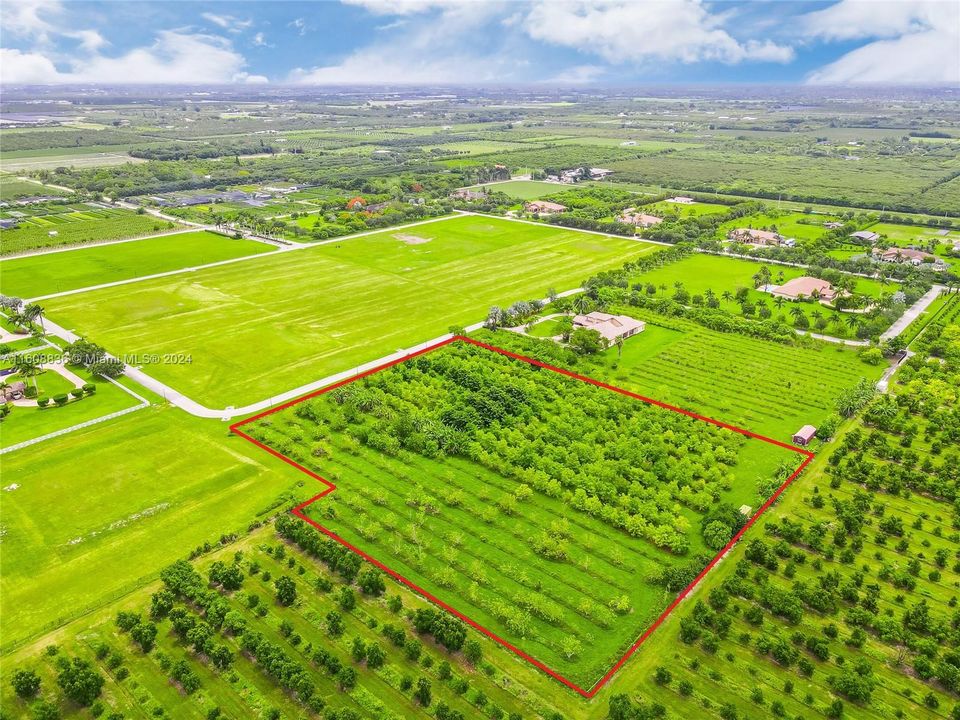 5+ ACRE BUILDABLE PROPERTY W/ GROVE IN SAVANNAH RANCHES GATED AGRICULTURAL COMMUNITY. GROVE INCLUDES ANON, MAMAY, SAPODILLO GROVE.
