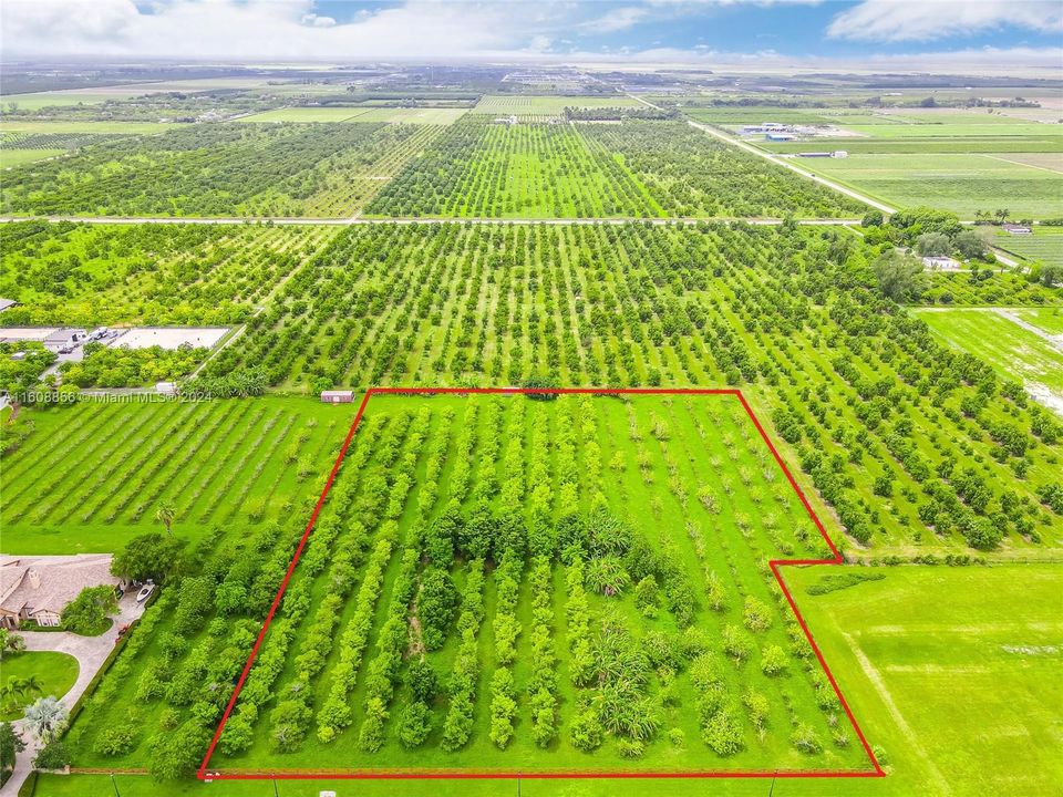 5+ ACRE BUILDABLE PROPERTY W/ GROVE IN SAVANNAH RANCHES GATED AGRICULTURAL COMMUNITY. GROVE INCLUDES ANON, MAMAY, SAPODILLO GROVE.