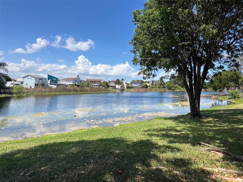 view of the lake