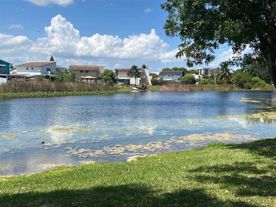 view of the lake