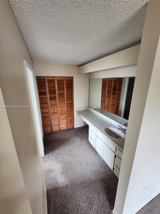 Master BR Bath vanity and linen closet