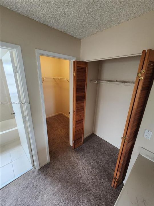 Master BR linen closet and walk-in closet