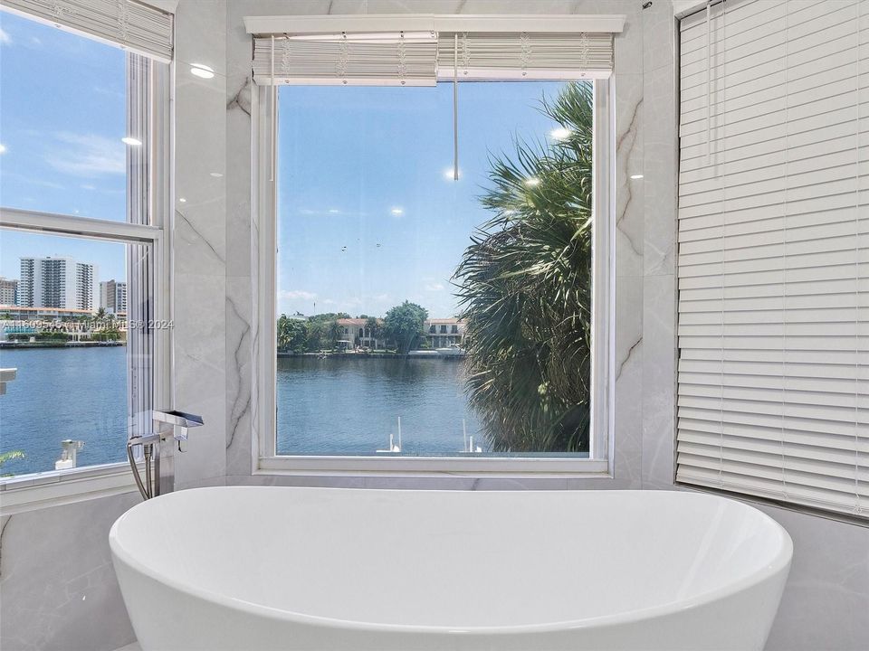 View from Master bath Soaking tub