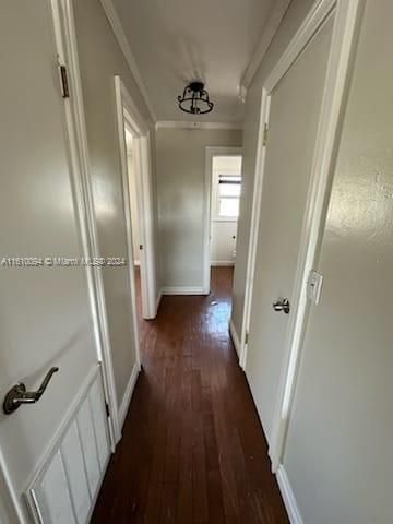 Active With Contract: $1,500 (1 beds, 1 baths, 589 Square Feet)