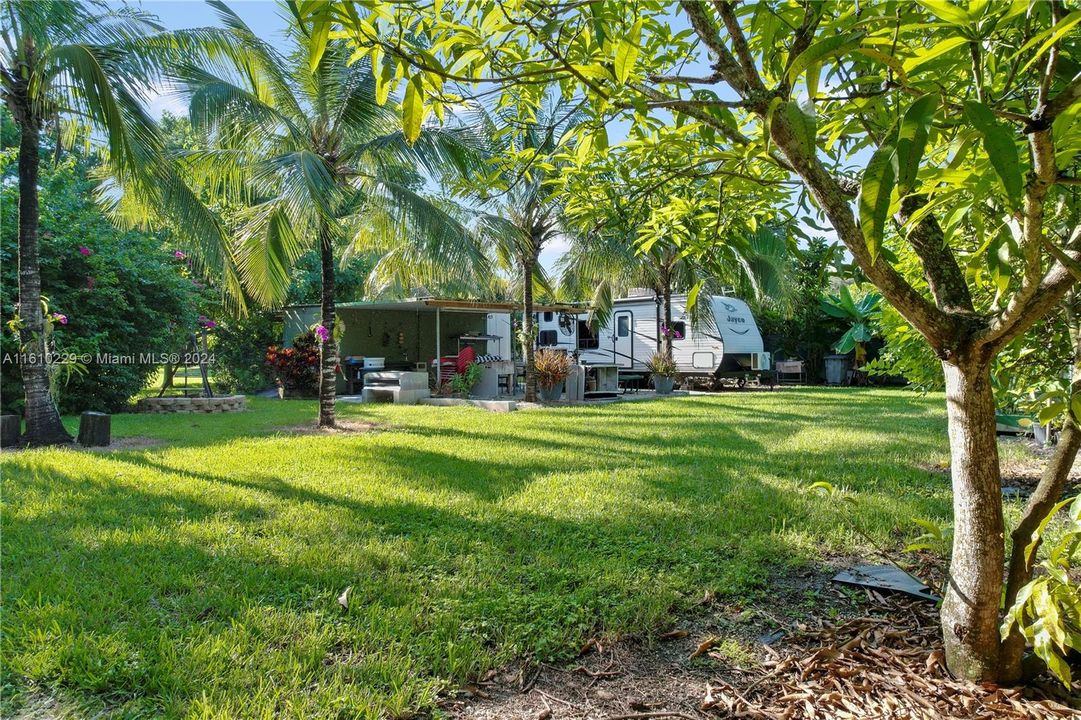 MAMAY, MANGOS, AVOCADOS W/ CONTAINER PATIO VIEW. SET UP TO ENJOY WHILE BUILDING IF DESIRED..CAMPER NOT INCLUDED