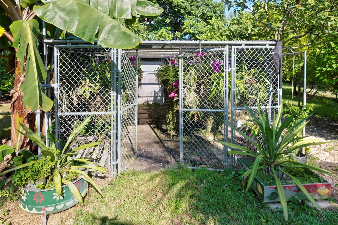 ORCHID SHADE HOUSE COULD BE USED FOR KENNELS