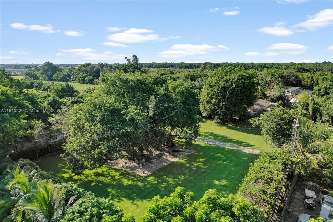 SOUTHEAST AERIAL OF THE PROPERTY AMAZING OAK TREE WITH PARK LIKE SETTING