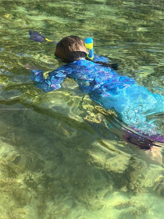 Snorkeling