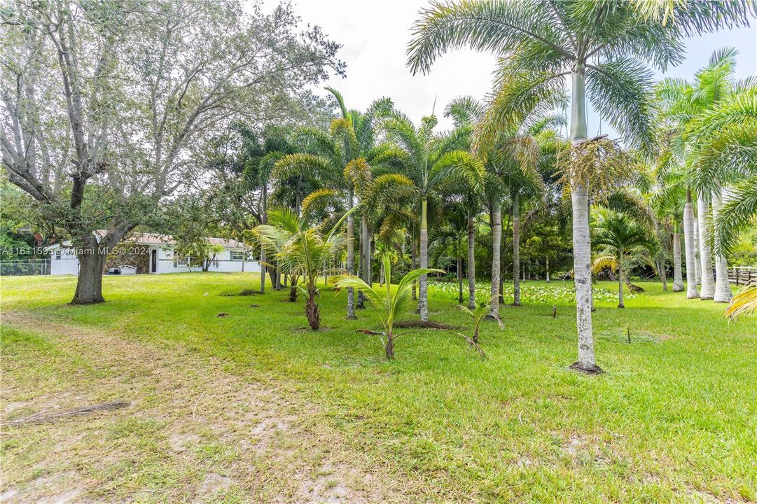 For Sale: $1,700,000 (4 beds, 2 baths, 1500 Square Feet)