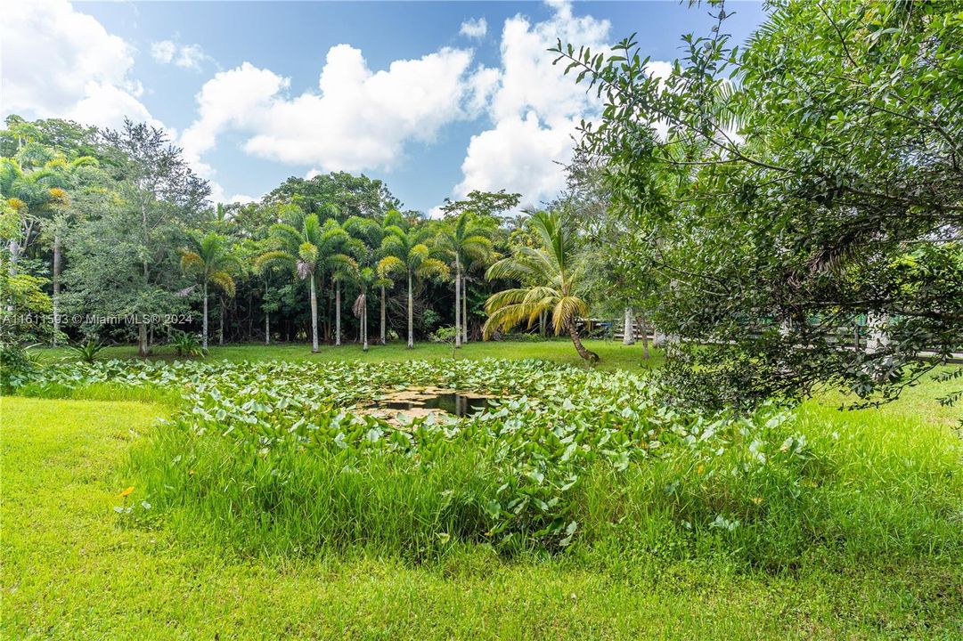 For Sale: $1,700,000 (4 beds, 2 baths, 1500 Square Feet)